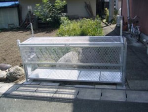 original_img004