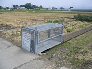 original_img008