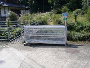 original_img012