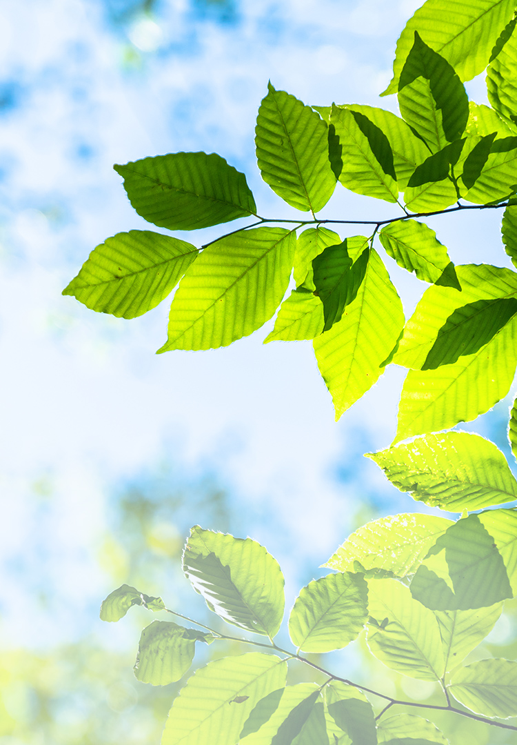 白石鉄工株式会社