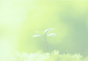 top_bg01